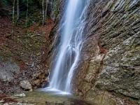 Herbstlaub und Stamm im Becken vor dem Wasserwandl Wasserfall